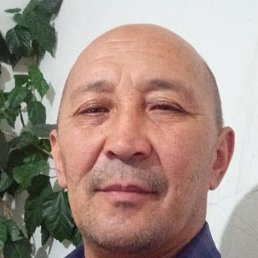 ��������, ������, 55 ���