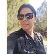 V, , �����������