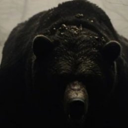 ����, ������, 41 ���