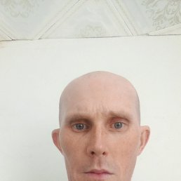, 37 , 