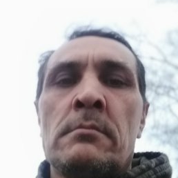 , , 51 