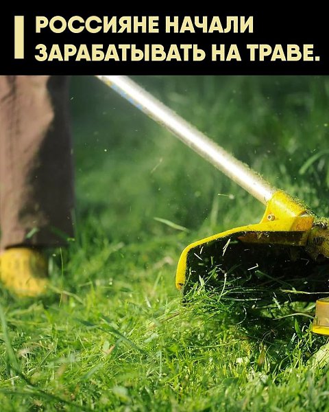 Некоторые берут заказы на покос травы только по выходным, другие работают с полной загрузкой. ...