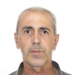 , 53, -