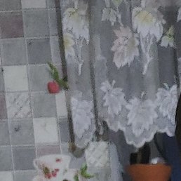 ������, ����, 29 ���