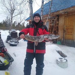 ������, ��������