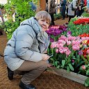 ���� ���, ������, 60 ��� - ��������� 28 ������� 2026