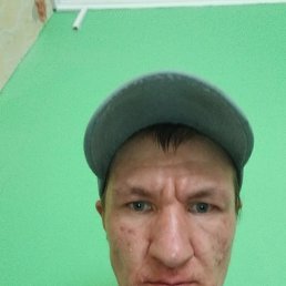 41, 41, 
