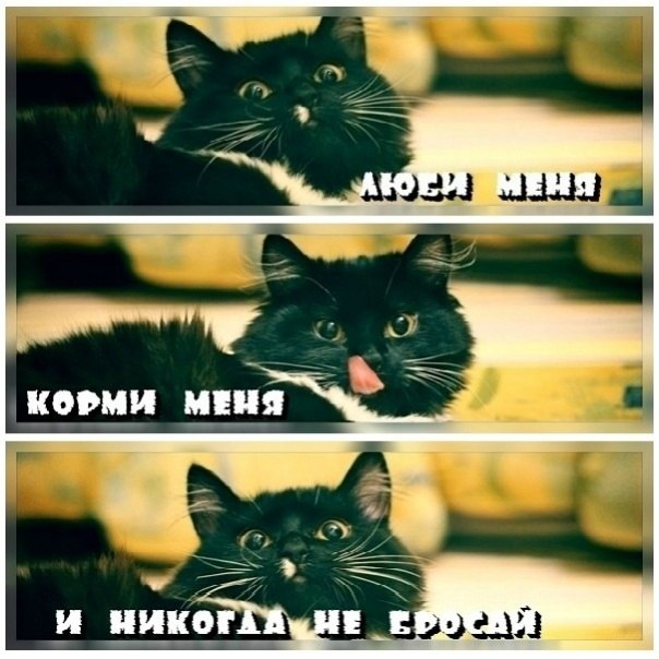  - 22  2025  20:16