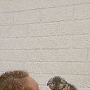 ���� �������, �����, 34 ���� - ��������� 11 ������ 2024