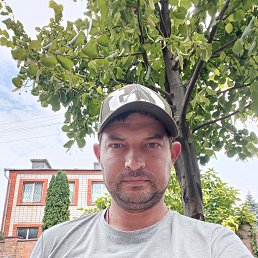 , 29, 
