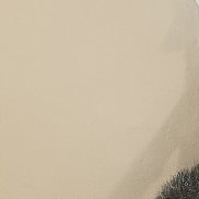 , 37 , 