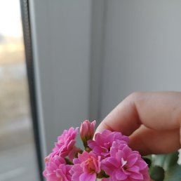, , 38 