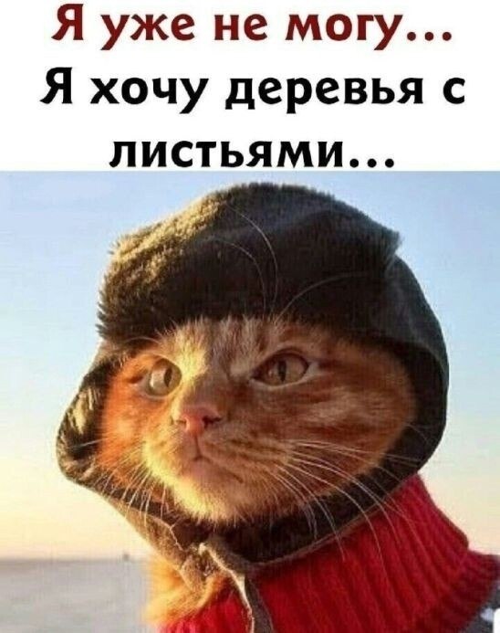   - 2  2023  22:43