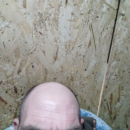 , 40, 