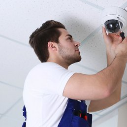 �������, ������, 49 ���