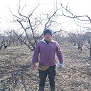 ���� �������, ���������, 46 ��� - ��������� 30 ����� 2025 � ������ ���� ����������