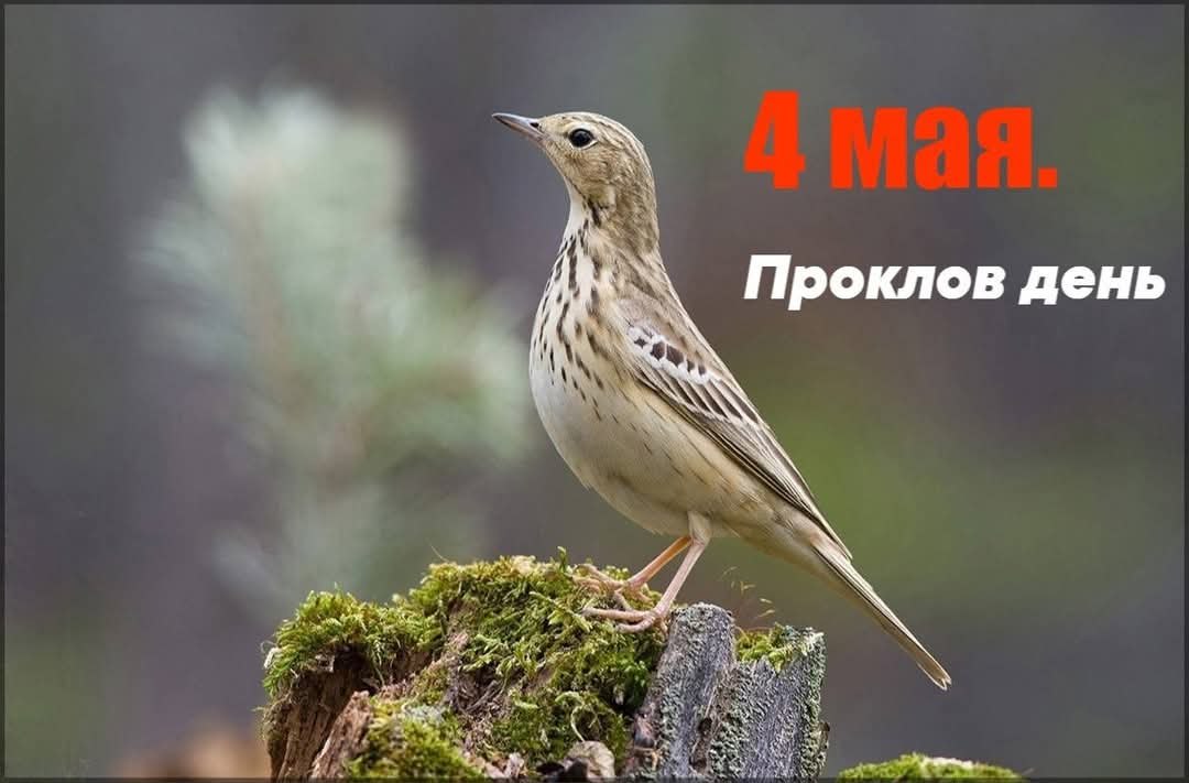 :) 4 .  .     -  3-  , . - ...