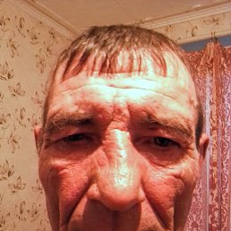 , 51 , 