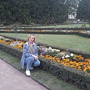 �����, 41 ���, ���������