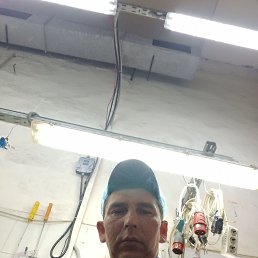 , 37, 