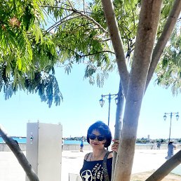 ������, ���������, 49 ���