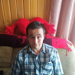 ���� �����, �����������, 36 ��� - ��������� 25 ������� 2025