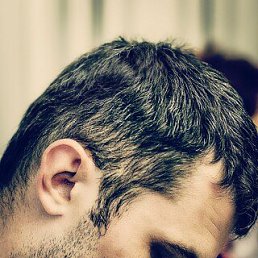 , 45, 