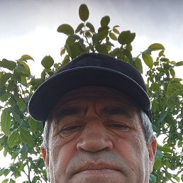 , 54, 