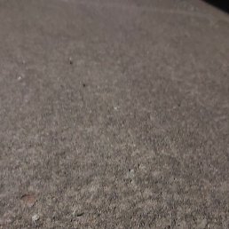 Bigpenis, ����, 21 ���