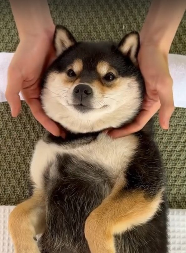   ,     ?
