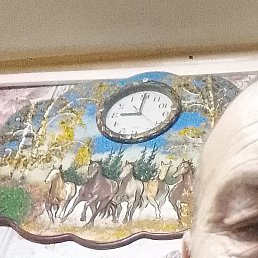 �������, ������, 50 ���