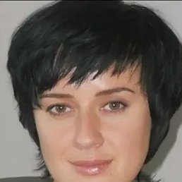 ��������, 41 ���, ��������