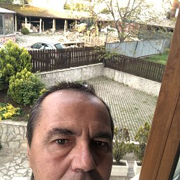 , 48, 