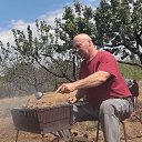 ���� ���������, ����������, 54 ���� - ��������� 24 ���� 2026 � ������ ���� ����������