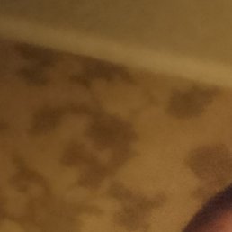 Roman, ���������, 51 ���