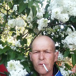  , 52, 