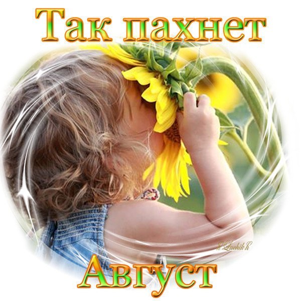   ,    . - 31  2024  10:09 - 2