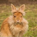 ���� ��� ���� ������� ��� ����, ����������� - ��������� 21 ������ 2025 � ������ ���� ����������