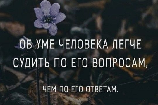   - 19  2024  12:58