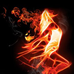 �����, �������, 44 ����