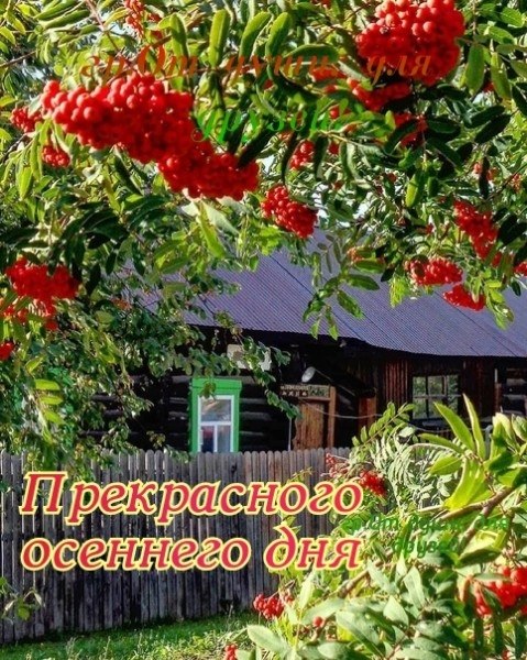 Геннадий - 18 октября 2025 в 15:58