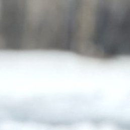 Irina, ��������, 57 ���