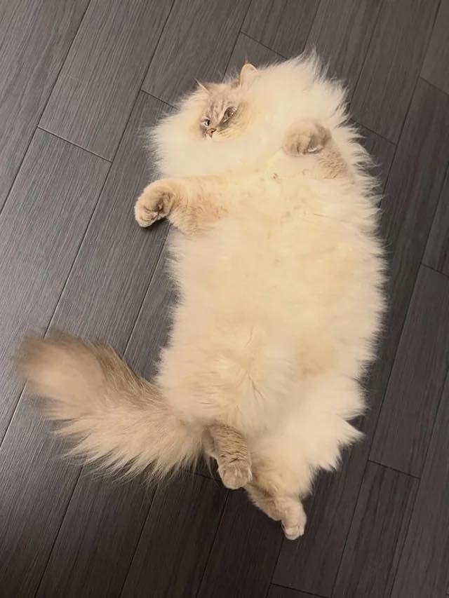 � ���� ������ �������� �������� - 2