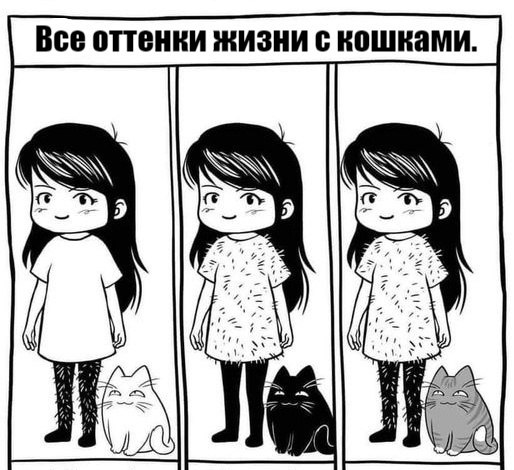       - 6  2025  23:10