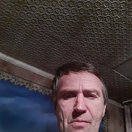 , 53 , 