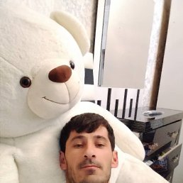 , 37,  