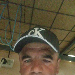  , 41, 