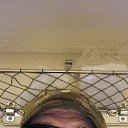 ���� ��������, ������, 43 ���� - ��������� 9 ������ 2026 � ������ ���� ����������