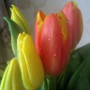 ���� ������, ���������, 69 ��� - ��������� 26 ������ 2025 � ������ �������