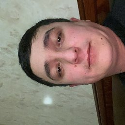 ������, ������, 33 ����